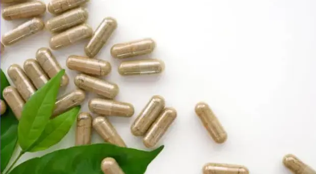 Microdosing support image illustrating guided psychedelic protocols used for enhancing neuroplasticity, reducing anxiety, and boosting creativity.